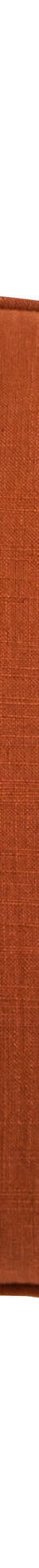 Coussin double face (terracotta) Coussin double face (terracotta)
